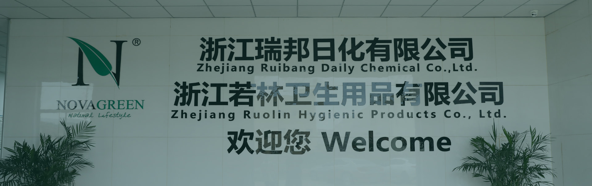 Zhejiang Ruolin Hygienic Products Co., Ltd.